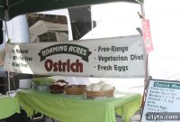How to Make a Paleo Ostrich Egg Brunch