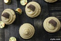 Chocolate Peanut Butter Cupcakes Recipe