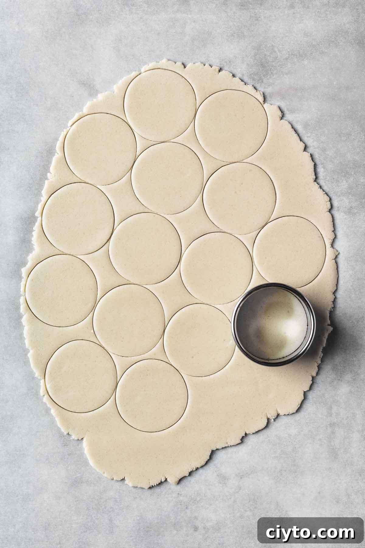 Thinly rolled vanilla cookie dough with circular cutouts.