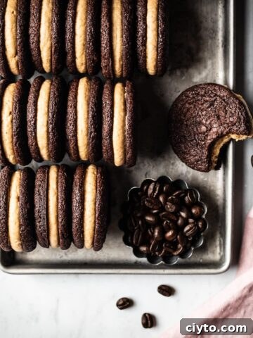 Three rows of sandwich cookies on their sides showing the filling.