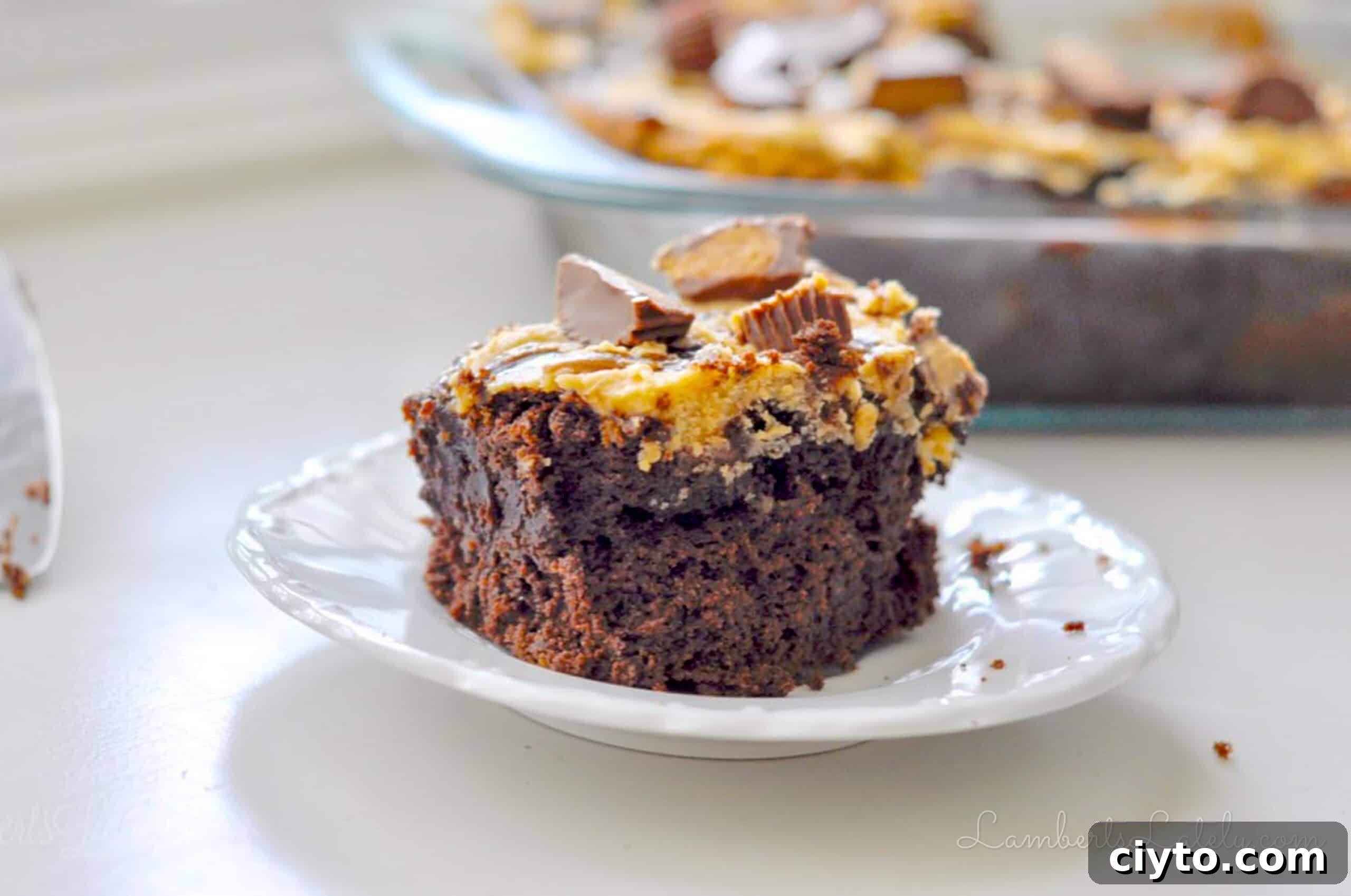 Reese's Peanut Butter Cup Cake Recipe 2 piece of reese's peanut butter cup cake on a plate.