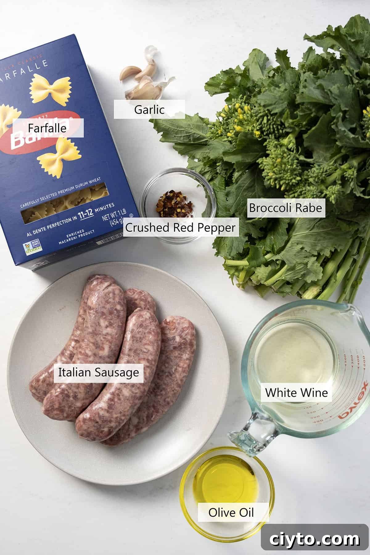 Garlicky Sausage and Broccoli Rabe Pasta 3 Ingredients for the recipe.