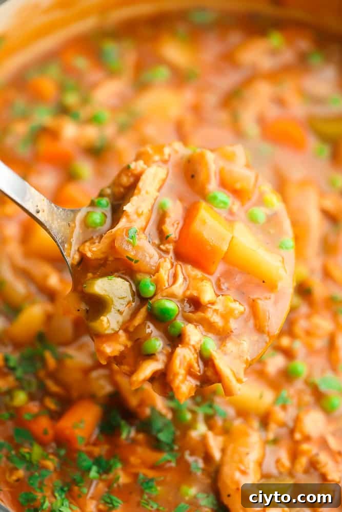 ladle holding vegan stew out of a pot