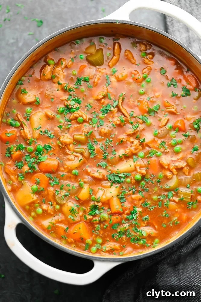 big pot of stew, black background