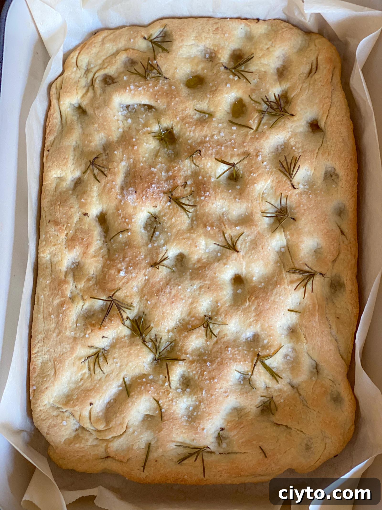 Rosemary Focaccia