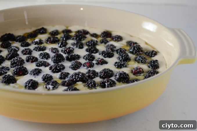 Blackberries added on top before baking