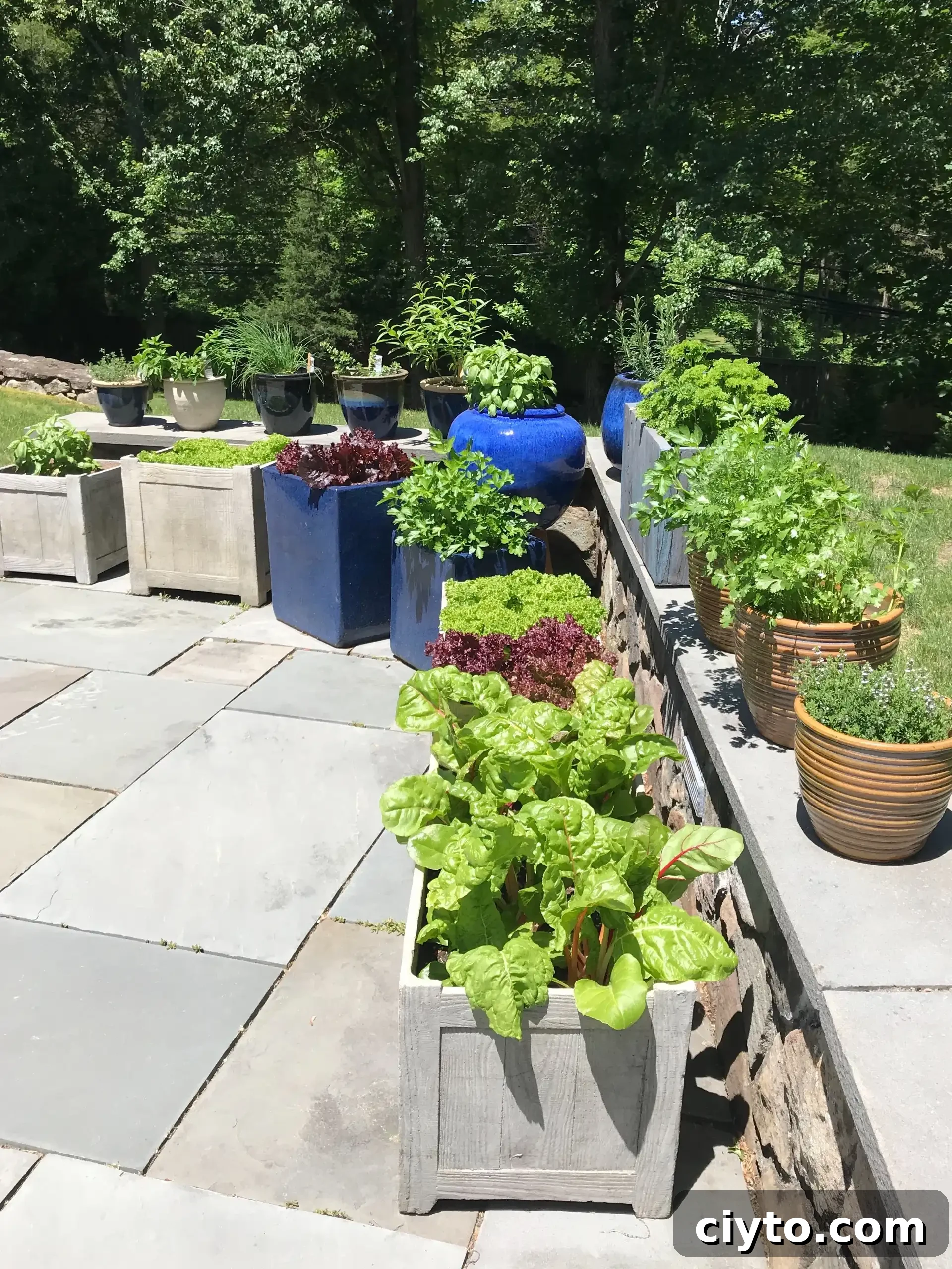 planting a patio garden #glutenfreerecipes www.healthygffamily.com