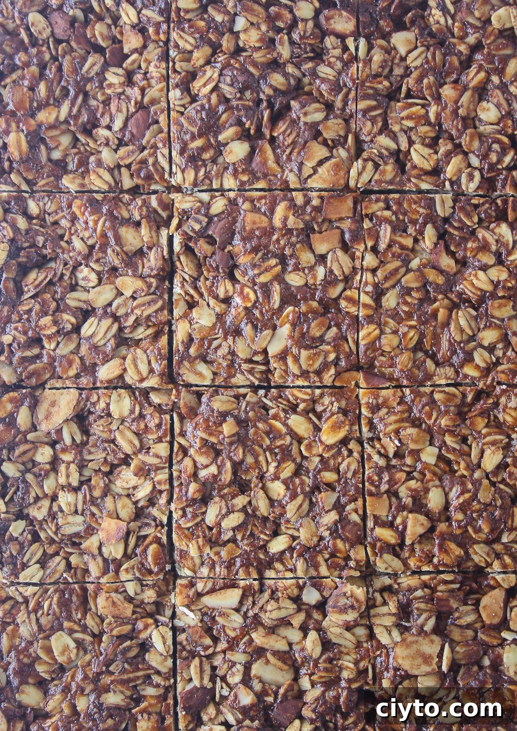 Chewy, crunchy, healthy granola bars made with almond butter and cocoa!