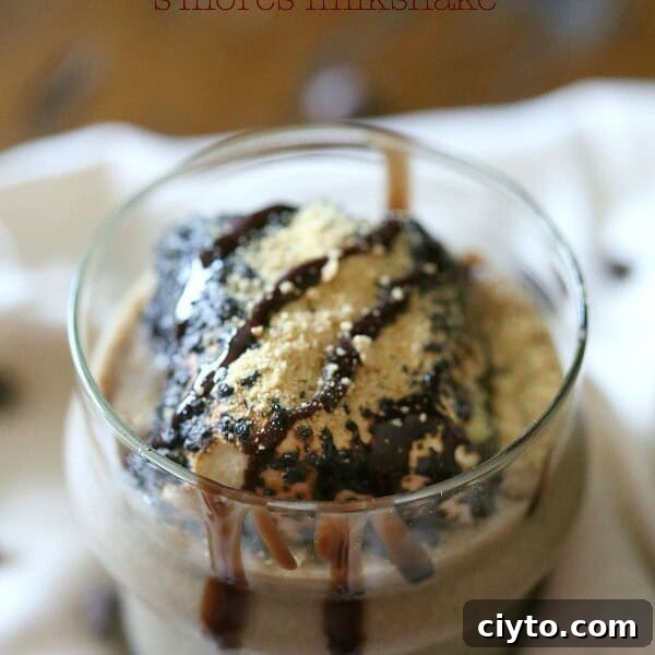 Double Chocolate S'mores Milkshake