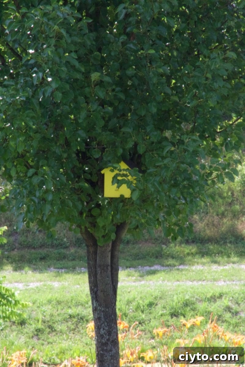img 11715 13