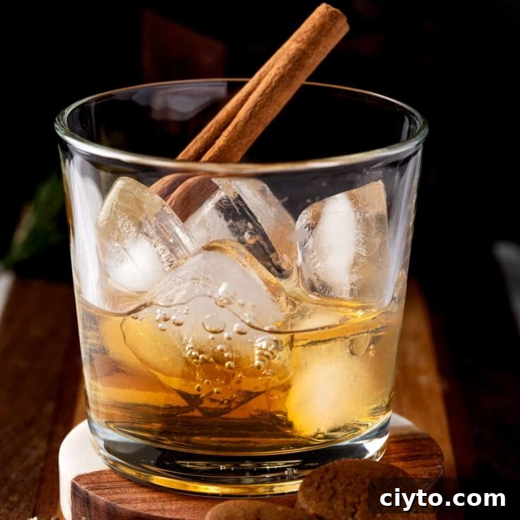 A Gingerbread Old Fashioned Cocktail garnished with a cinnamon stick.