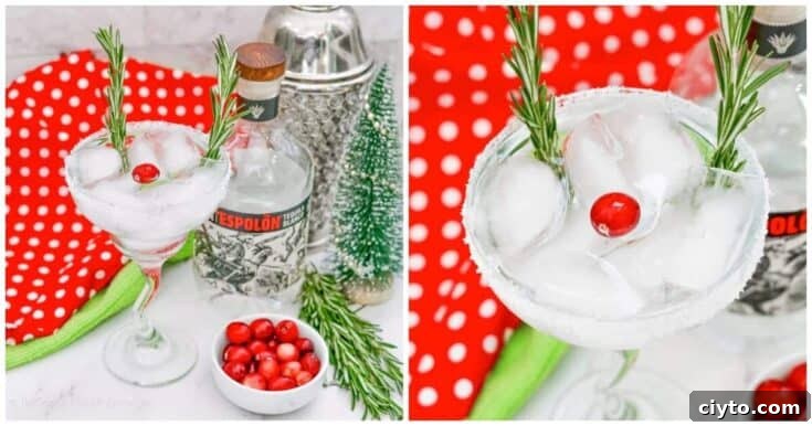 A white margarita with rosemary and maraschino cherries as garnish.