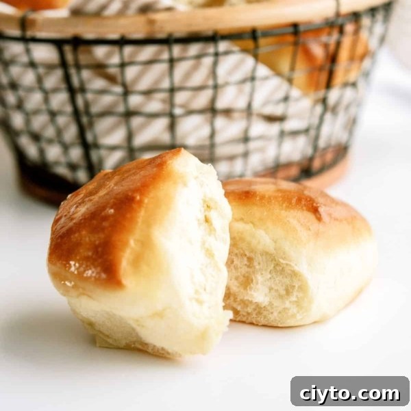 2 Texas Roadhouse Rolls in front of a basket filled with Texas Roadhouse Rolls.