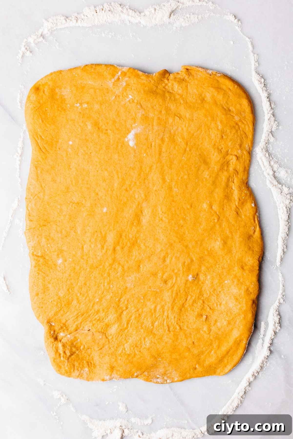 Dough rolled into a rectangle.