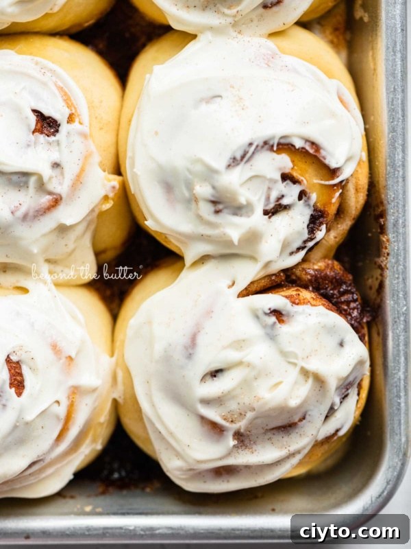 Frosted small batch cinnamon rolls.