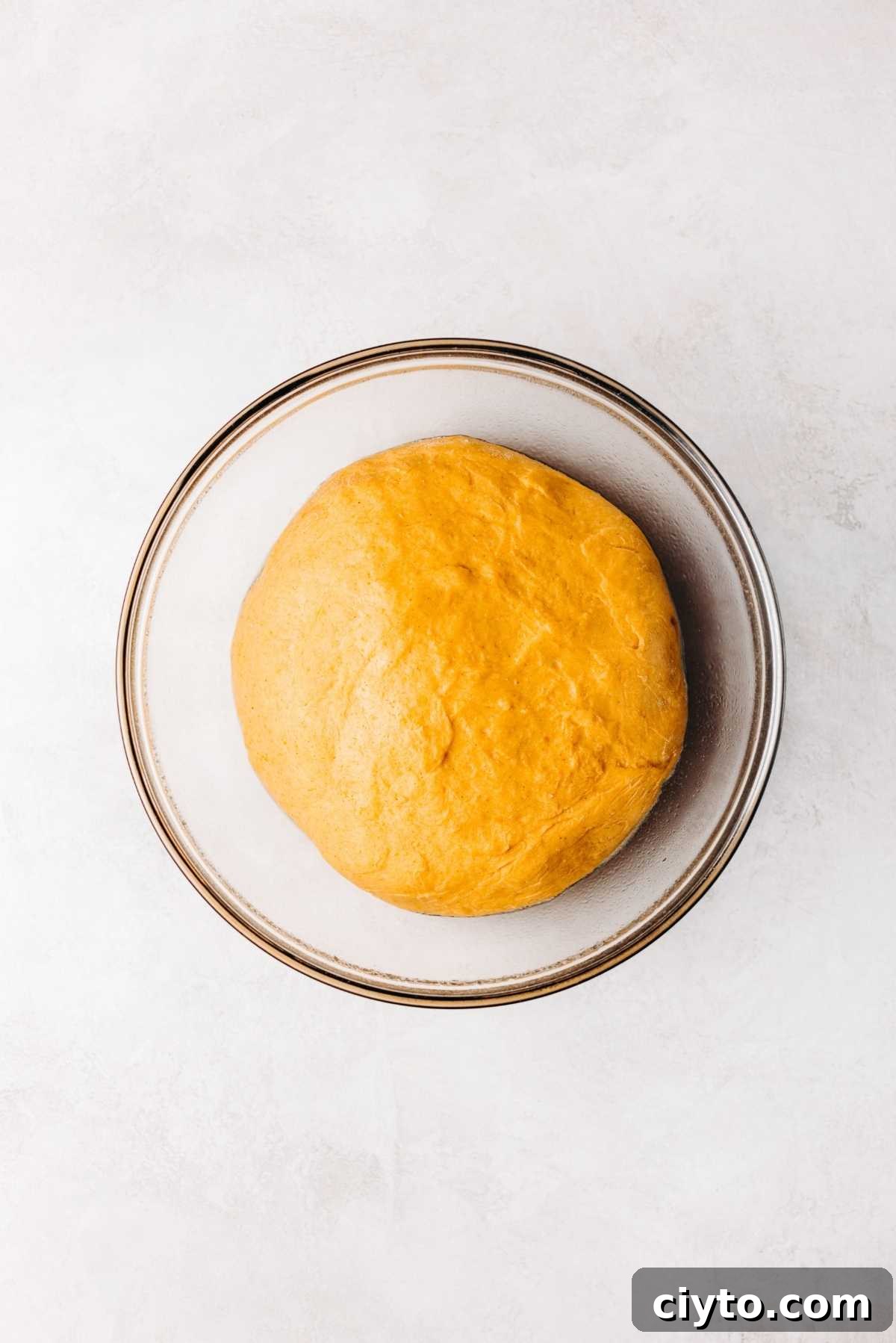 Dough doubled in size in a bowl.