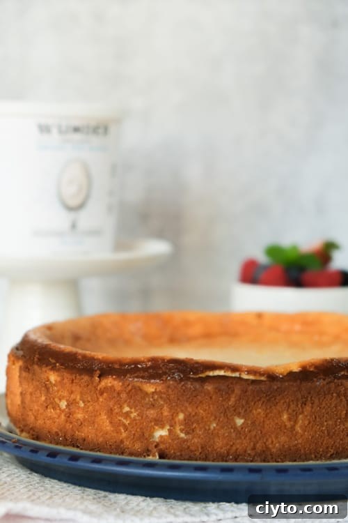 Authentic Crustless German Quark Cheesecake Recipe 3 Slices of German cheesecake