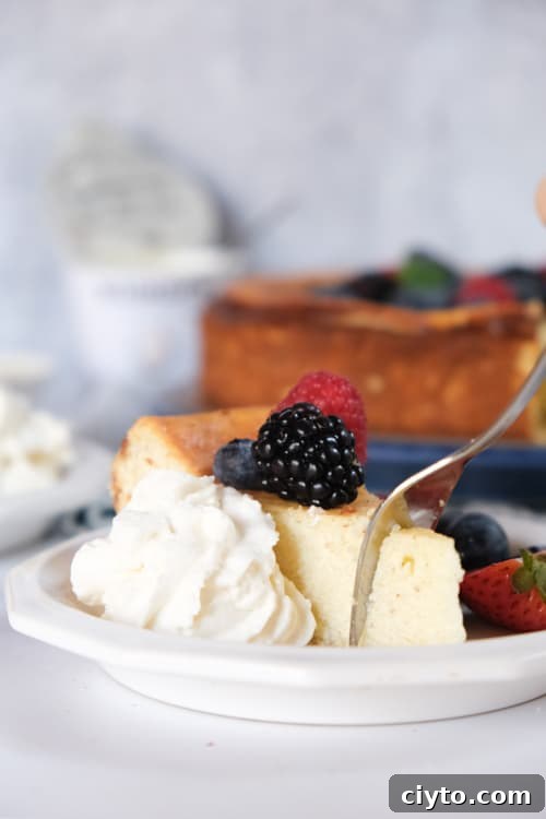 Authentic Crustless German Quark Cheesecake Recipe 10 Served German cheesecake