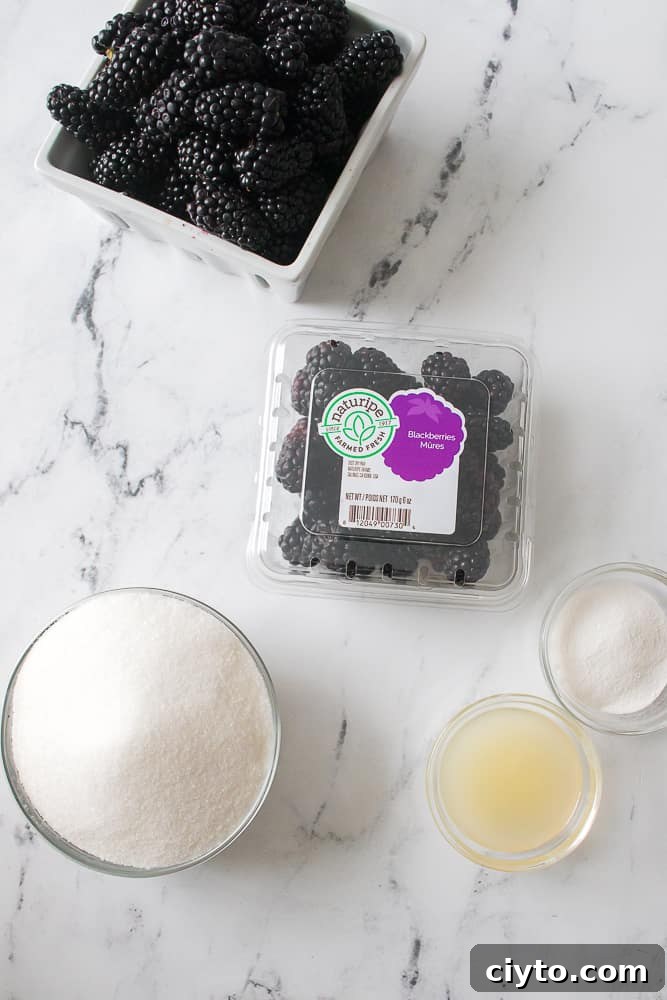 ingredients needed for homemade blackberry jam recipe