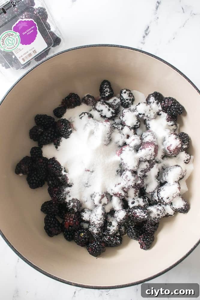 overhead shot of Dutch oven with blackberries, sugar and pectin