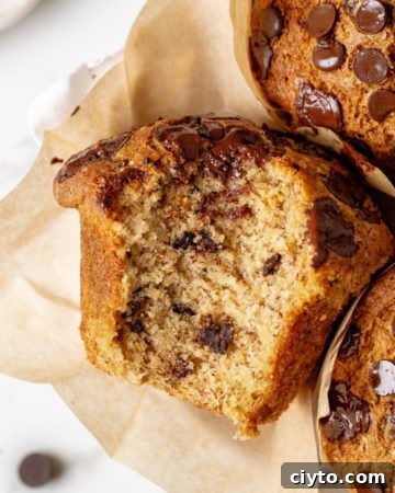 Bakery style banana chocolate chip muffins