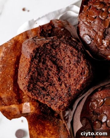 Bakery style double chocolate muffins
