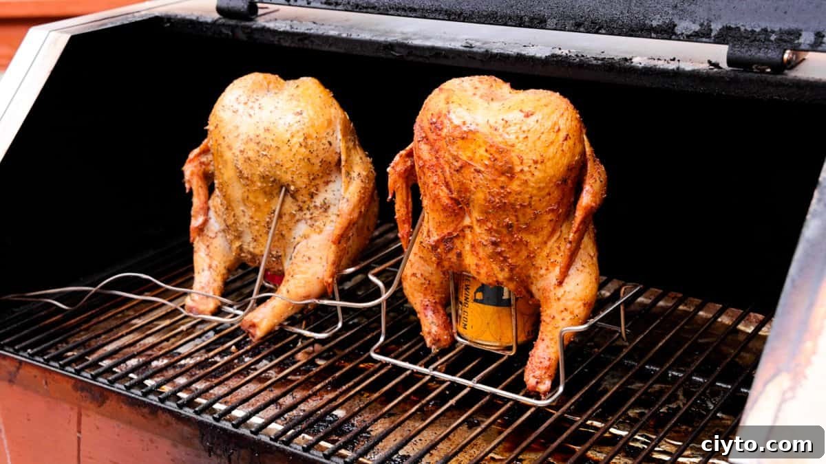 How to Smoke Beer Can Chicken 7 Two chickens roasting on grill standing up straight with beer can in cavity of chicken.