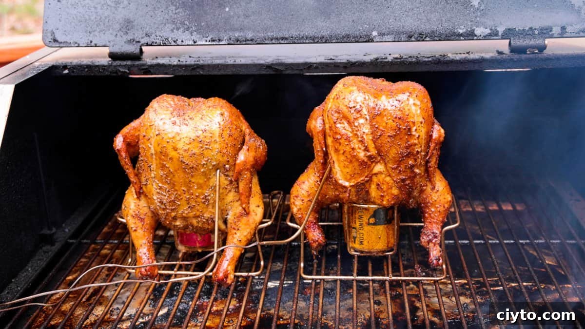 How to Smoke Beer Can Chicken 9 Two chickens on grill finished cooking.