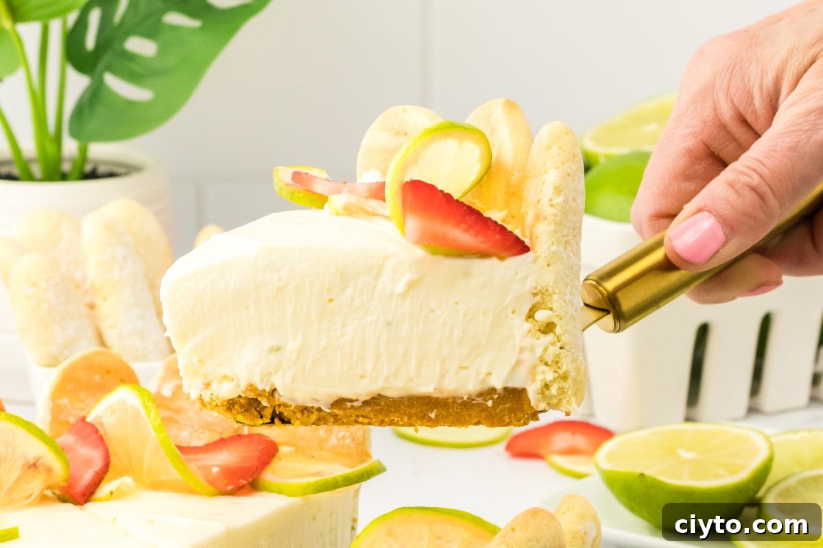 Close-up of a single slice of no-bake lime cheesecake on a server. 