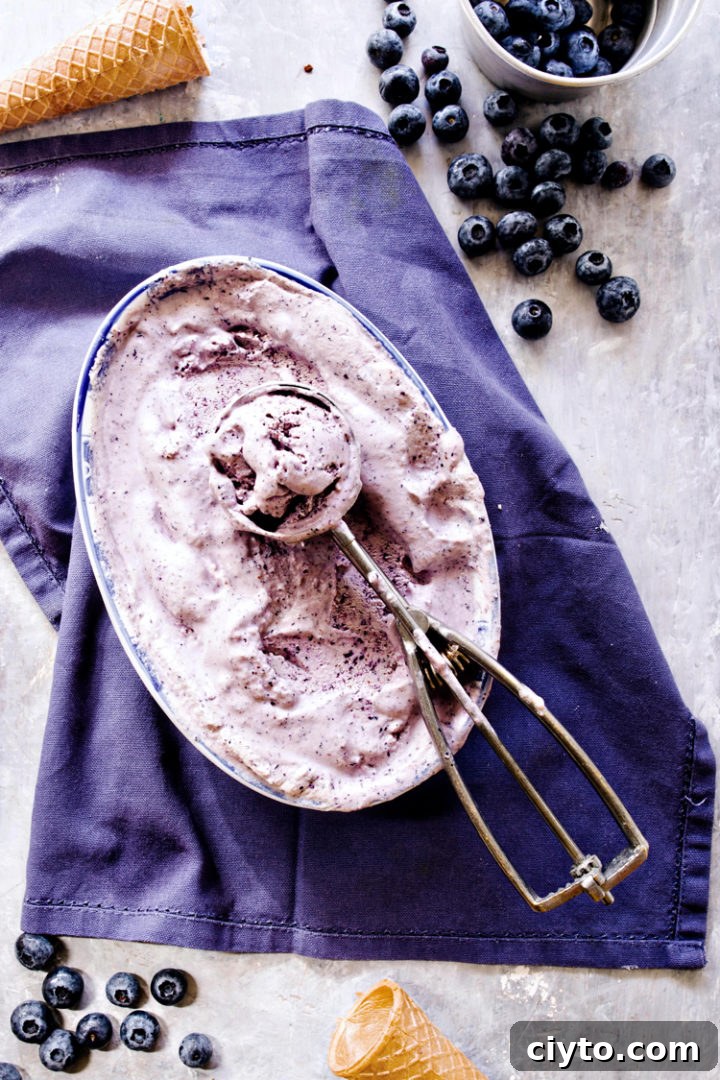 overhead shot of blueberry cheesecake ice cream in a container with an ice cream scoop