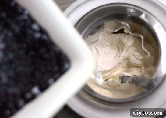 overhead shot of blueberry cheesecake ice cream churning in an ice cream maker