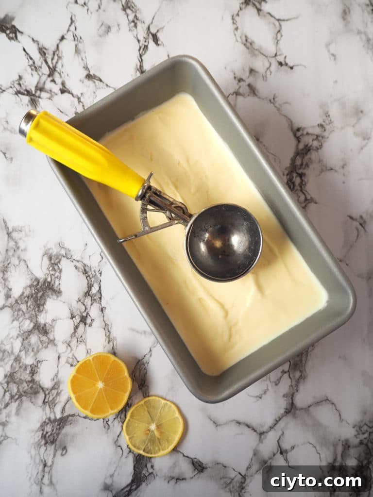 Sour cream ice cream in tin