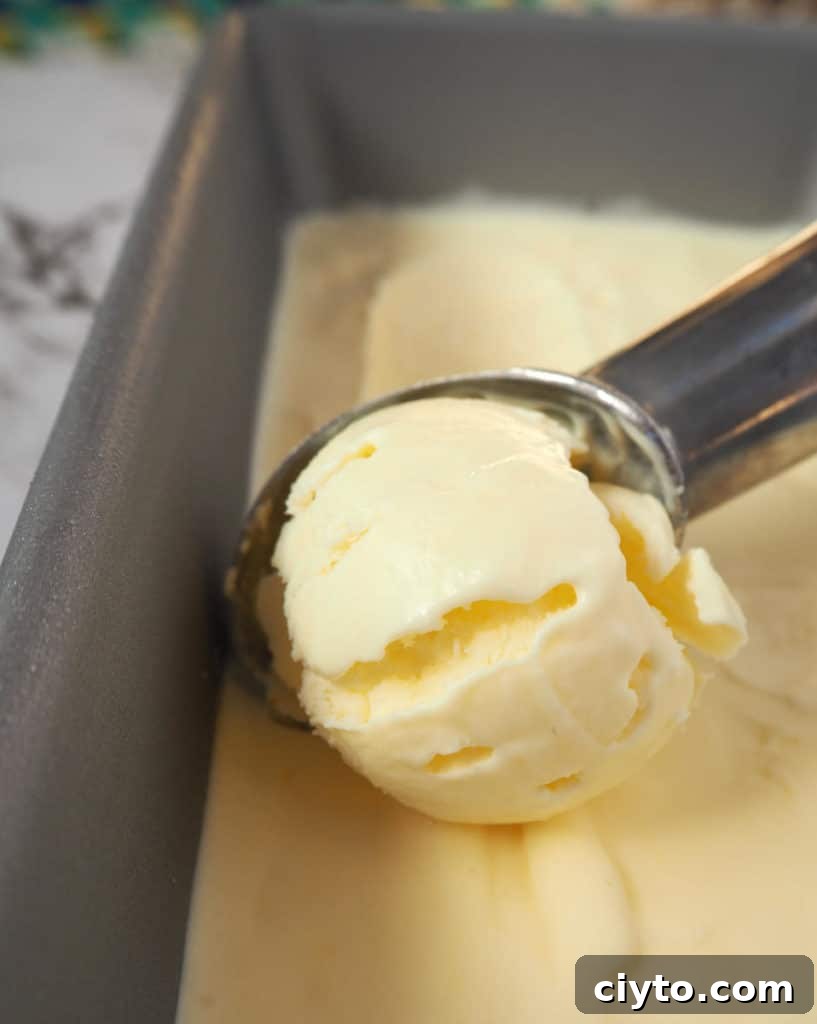 Sour cream ice cream scoop