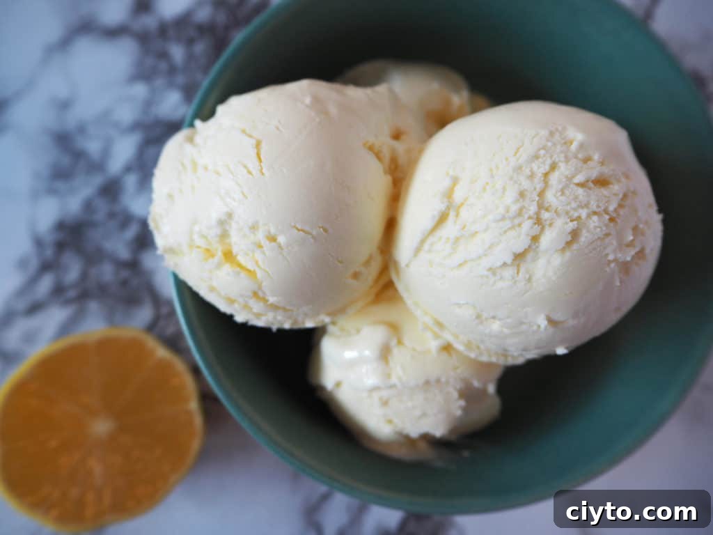 Sour cream ice cream close up