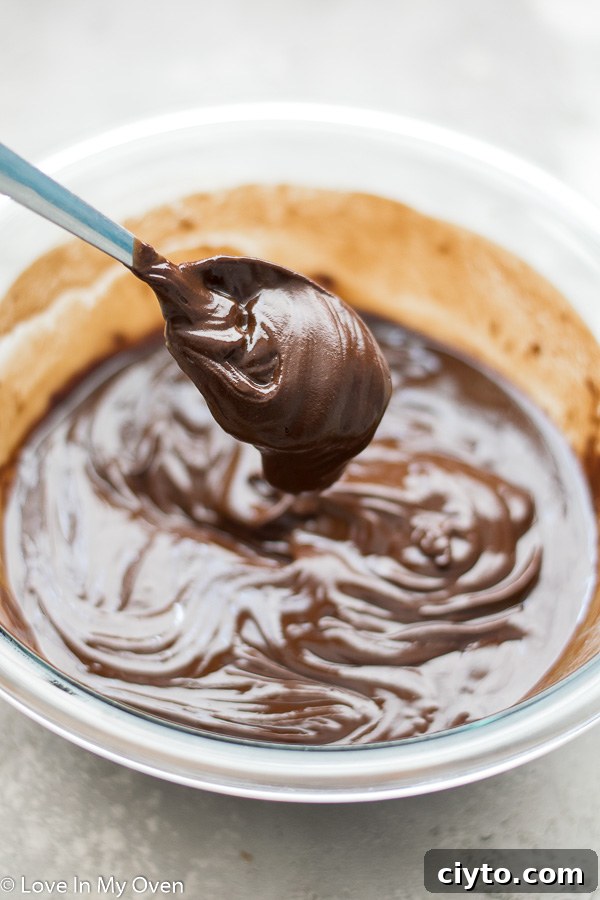 3-Ingredient Flourless Chocolate Cake Recipe 4 img 14770 3