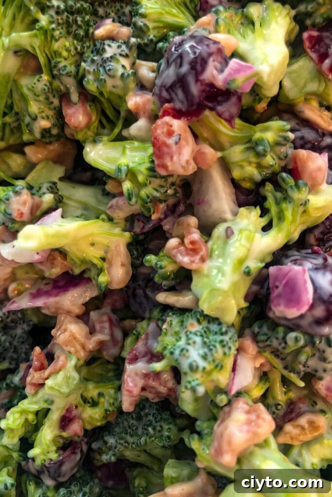 close up picture of broccoli salad