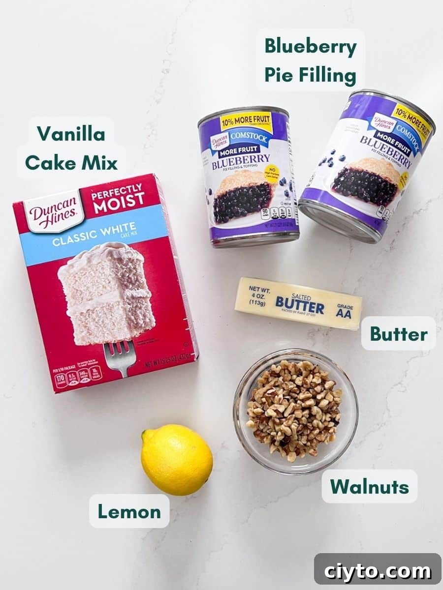 An overhead image of the labeled ingredients.