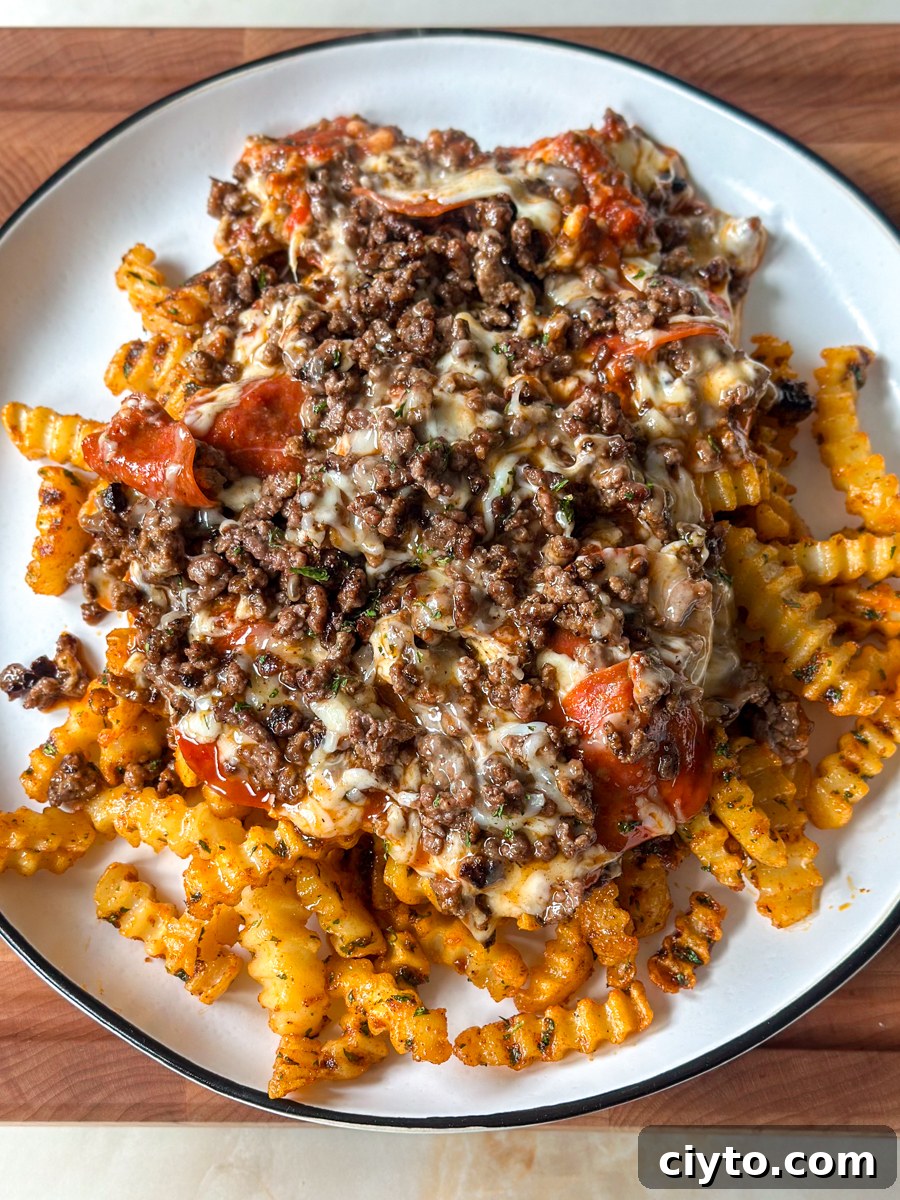loaded french fries