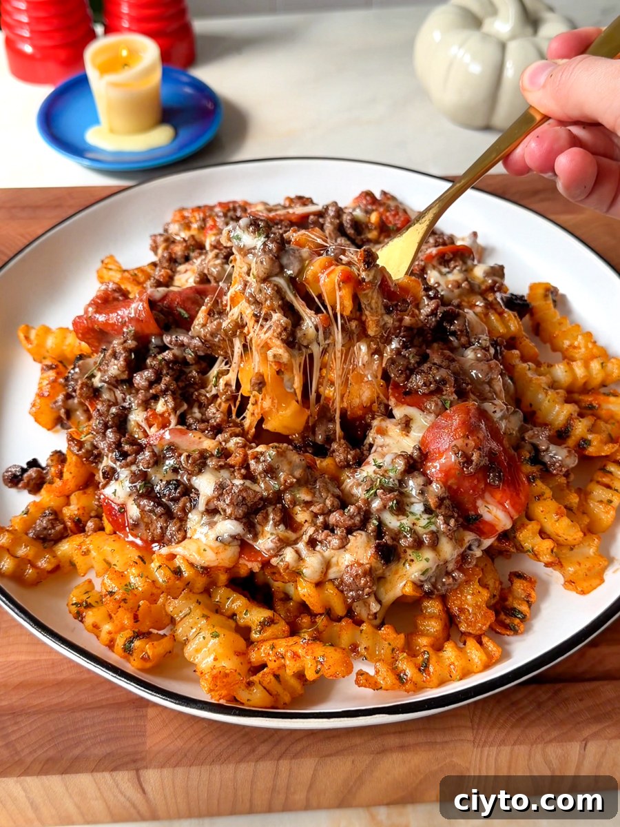 loaded french fries