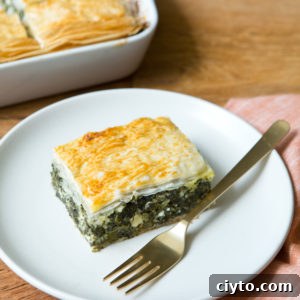 Authentic Greek Spanakopita: Spinach and Feta Pie Recipe 4 img 15487 8