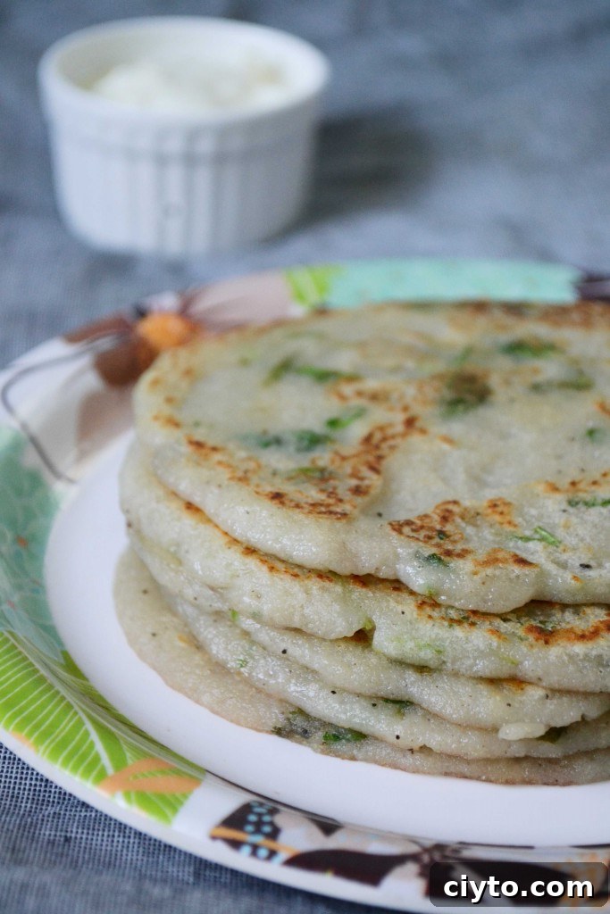 Serving of deruny with herbs and sour cream