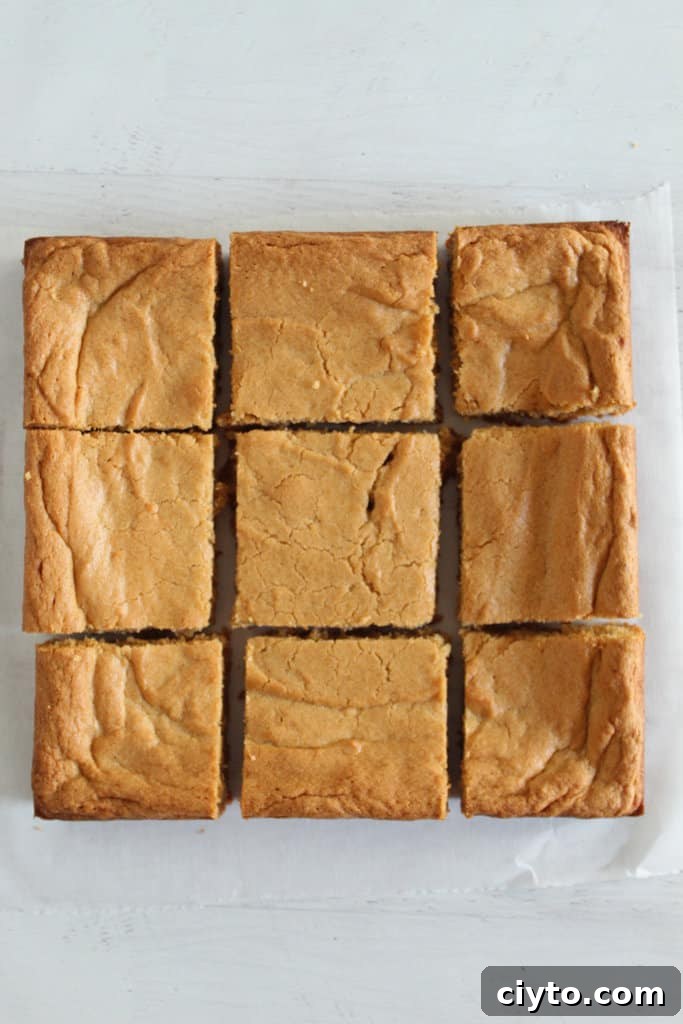 Sliced batch of peanut butter brownies