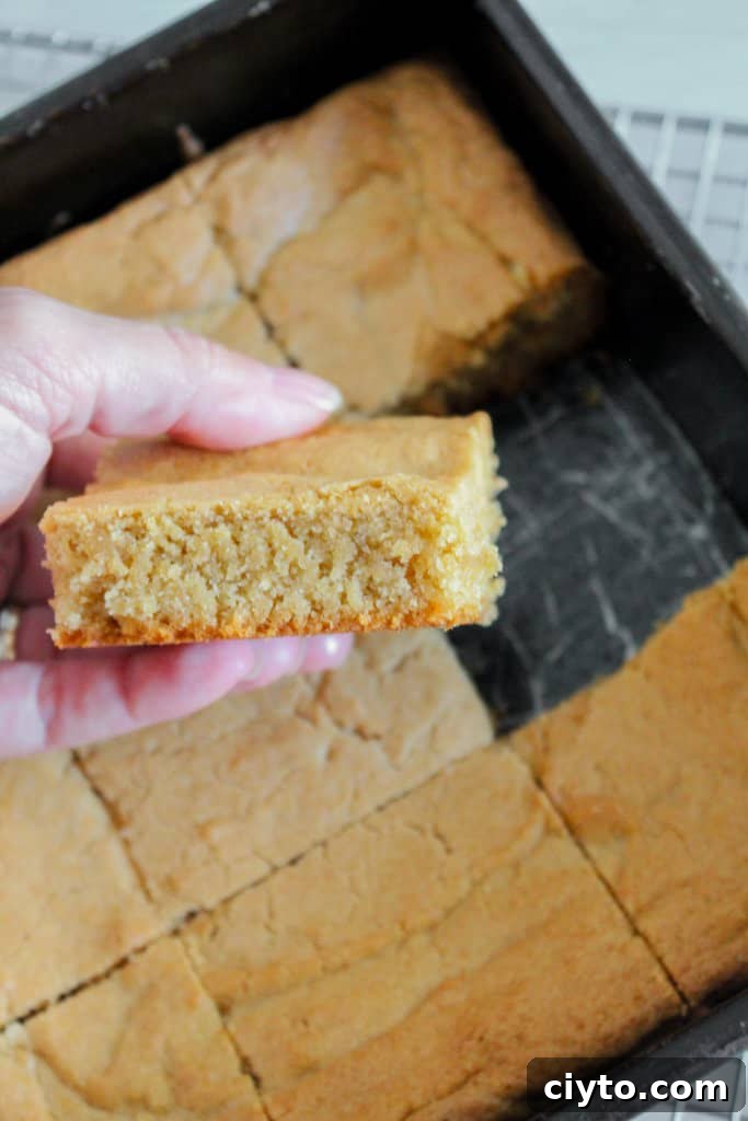 Hand holding piece of peanut butter brownie