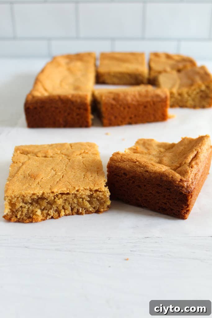 Outside crust of peanut butter brownies