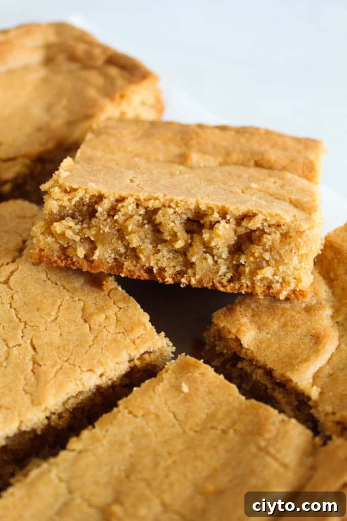 Piece of peanut butter brownie