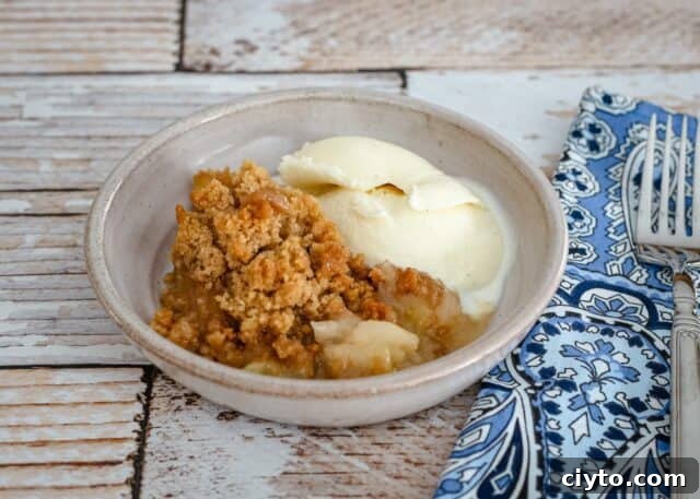 apple crumble with ice cream on a serving dish with a fork on the side.