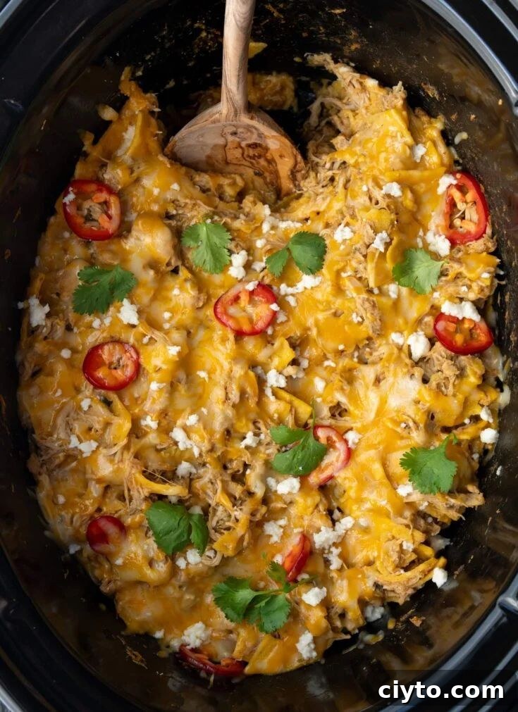 19. Crockpot Chicken Enchilada Casserole