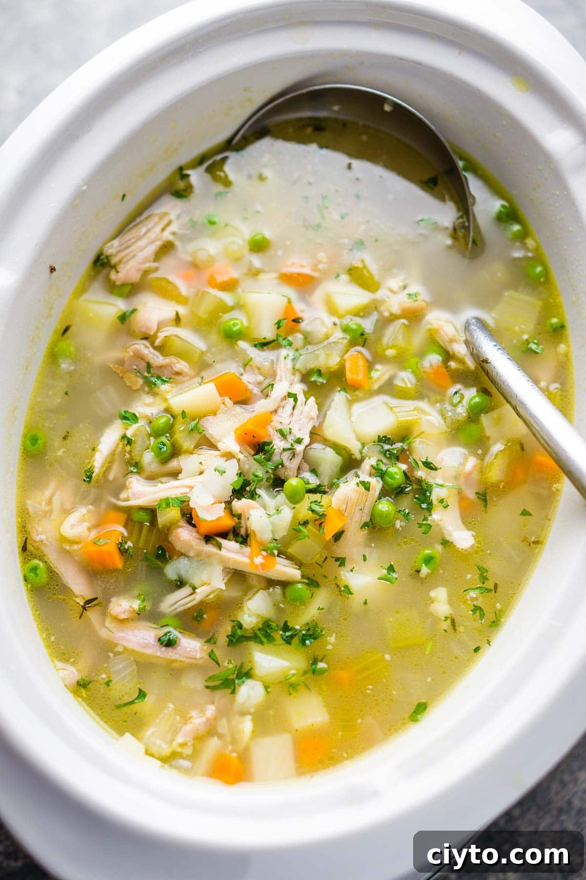 7. Chicken Vegetable Soup