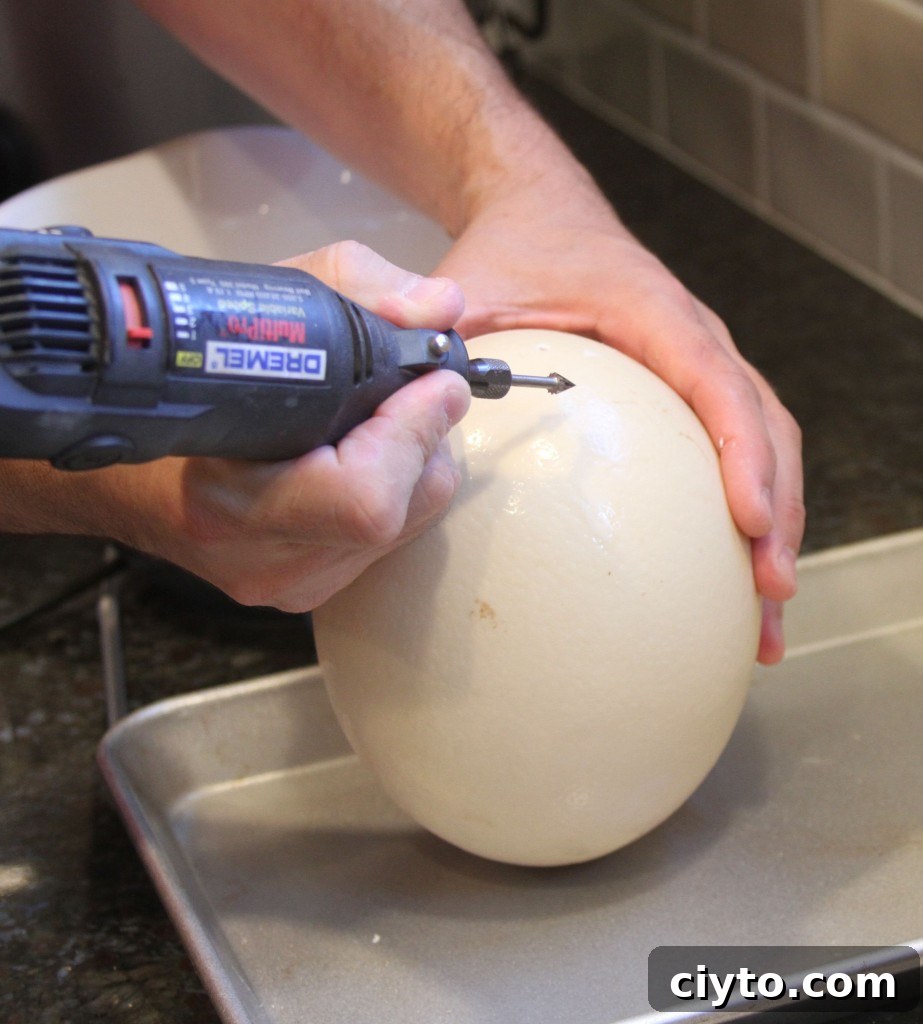 Drilling hole in ostrich egg