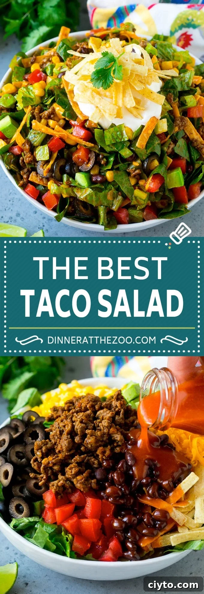 Crispy Taco Salad with Fresh Salsa and Avocado 2 Taco Salad Recipe | Beef Taco Salad | Mexican Salad #salad #taco #beef #lunch #avocado #dinner